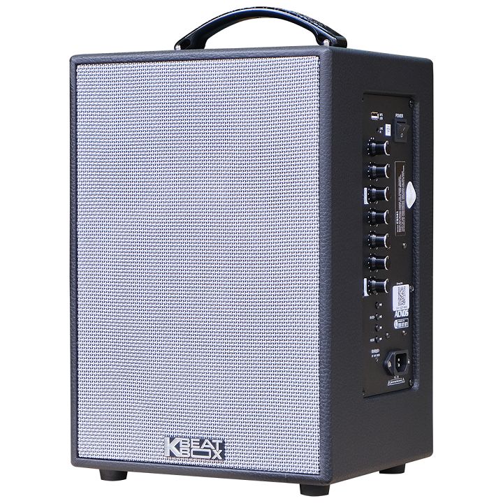 Loa di động Acnos CS121 Mini karaoke bass 20cm, bọc da, 70W, micro nhựa