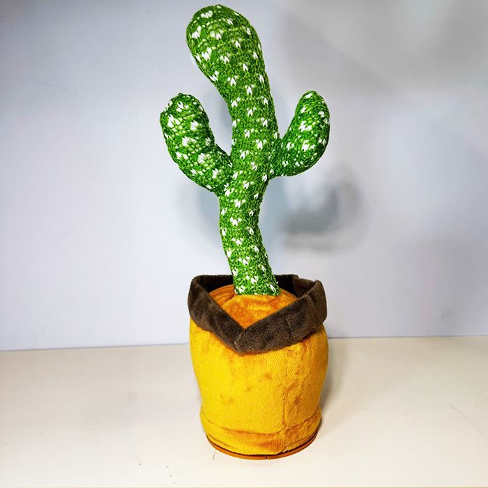 Chậu Cây Xương Rồng Nhảy Múa 9837