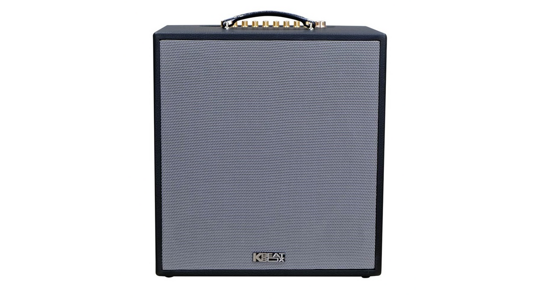 Loa xách tay di động Acnos CS300 Mini karaoke, bass 3 tấc + 2 treble, bọc da, 100W, Mic nhôm