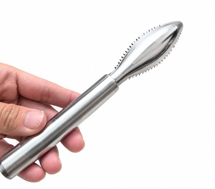 Dụng cụ đánh vảy cá chất liệu Inox bền bỉ dài 23 cm