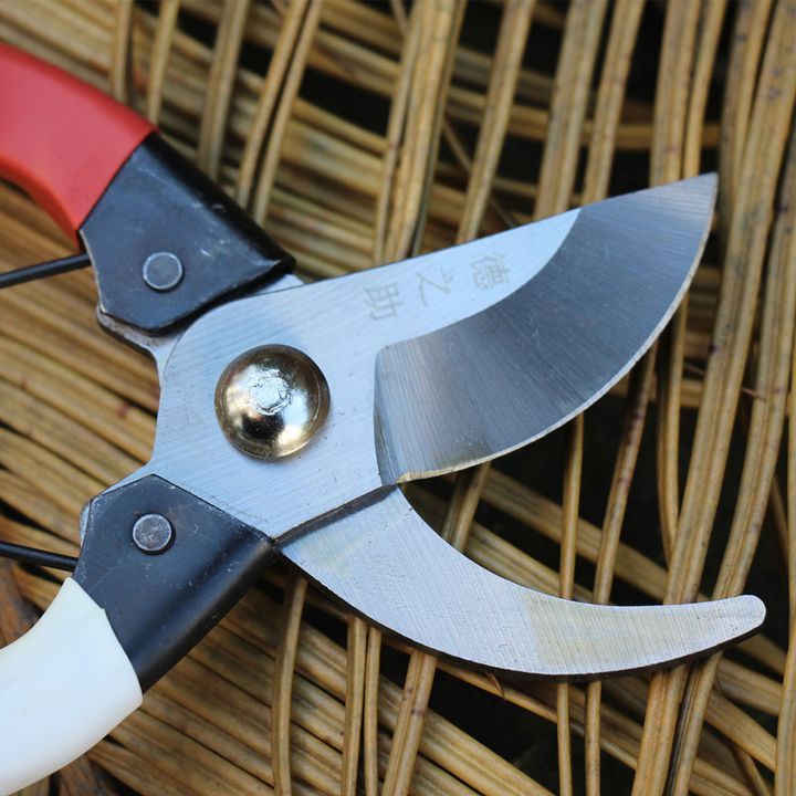Kéo cắt tỉa cây cảnh sắc bén tiện dụng