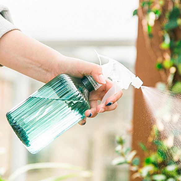 Bình xịt nước tưới cây tiện dụng 500ml