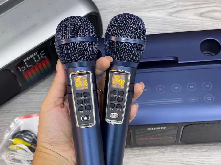 Loa Bluetooth Karaoke SDRD SD-318 Kèm 2 Micro Không Dây