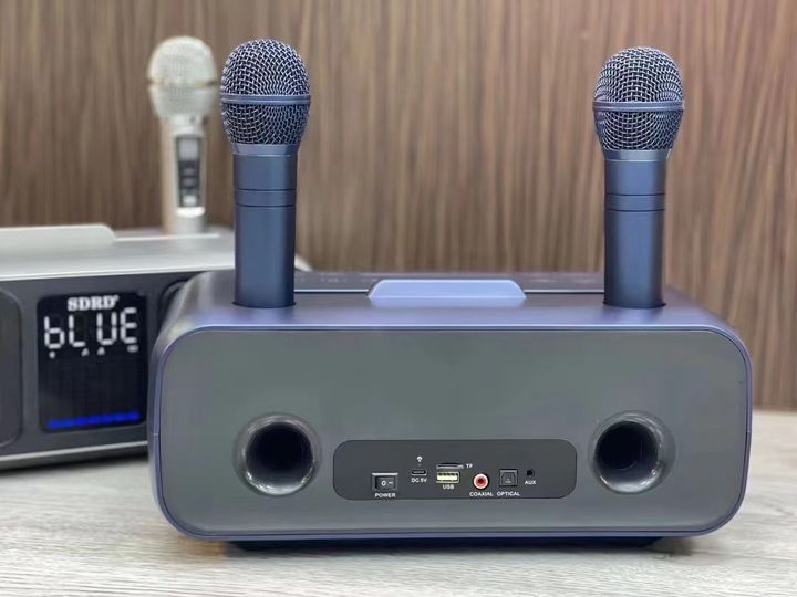 Loa Bluetooth Karaoke SDRD SD-318 Kèm 2 Micro Không Dây