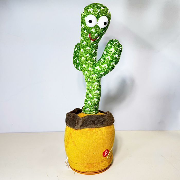 Chậu Cây Xương Rồng Nhảy Múa 9837