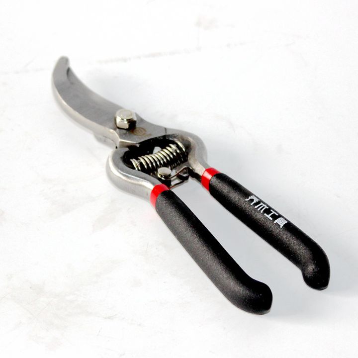 Dụng cụ Kéo cắt tỉa cành cây (lưỡi cong 21166)