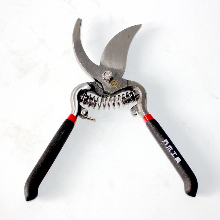 Dụng cụ Kéo cắt tỉa cành cây (lưỡi cong 21166)