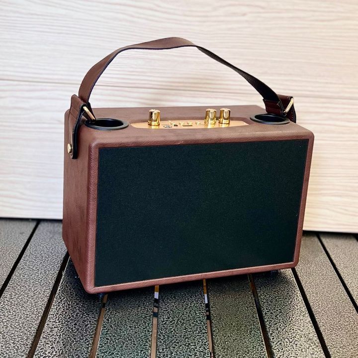 Loa Bluetooth xách tay QiXi SK-2039 kèm 2 micro karaoke