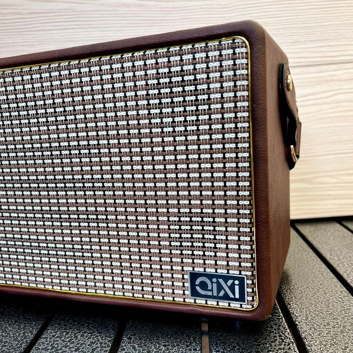 Loa Bluetooth xách tay QiXi SK-2039 kèm 2 micro karaoke