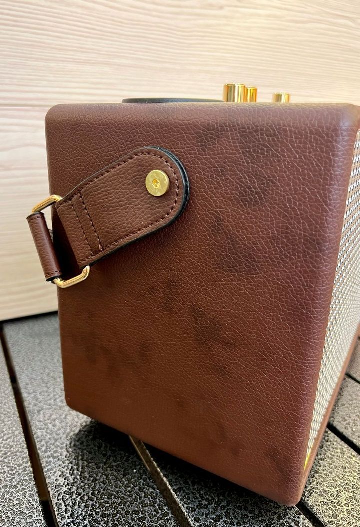 Loa Bluetooth xách tay QiXi SK-2039 kèm 2 micro karaoke