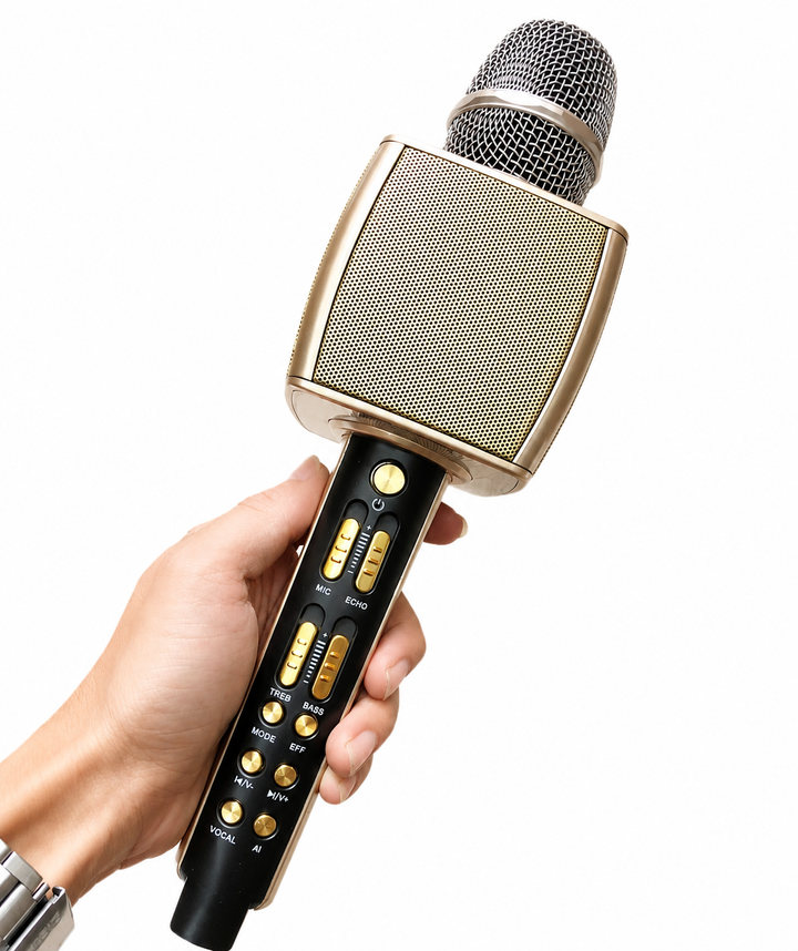 Micro YS - 98 hát Karaoke cầm tay kèm loa, có kèm 1 micro nhỏ, kết nối Bluetooth
