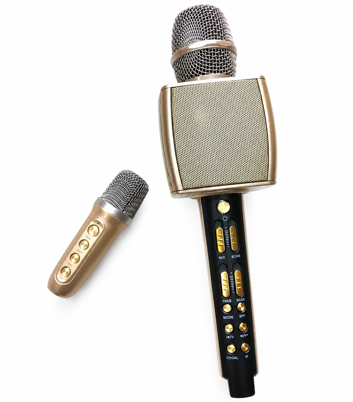 Micro YS - 98 hát Karaoke cầm tay kèm loa, có kèm 1 micro nhỏ, kết nối Bluetooth