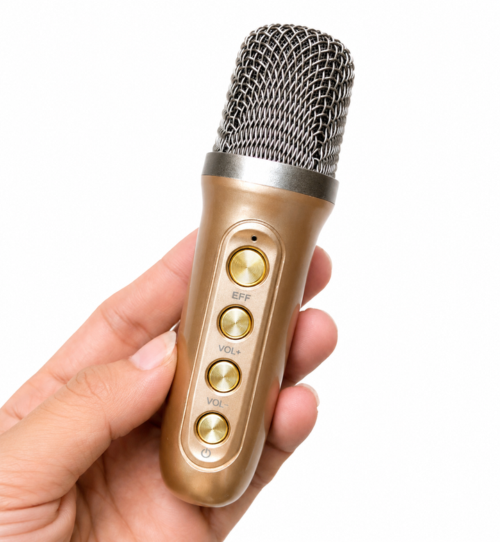 Micro YS - 98 hát Karaoke cầm tay kèm loa, có kèm 1 micro nhỏ, kết nối Bluetooth