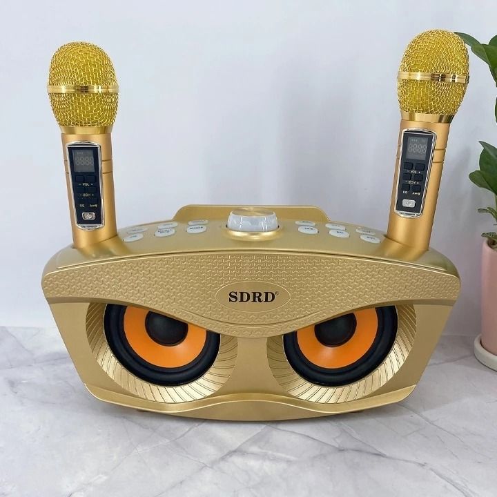 Loa karaoke bluetooth SDRD SD-306 Plus kèm 2 micro