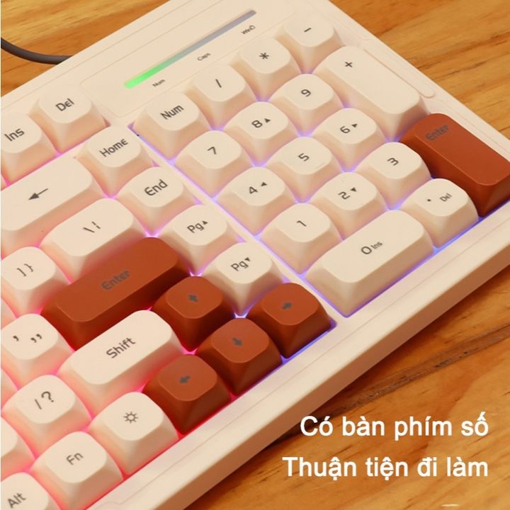 Bàn phím máy tính có dây Acer OKB030 chống ồn phối màu đôi có đèn LED