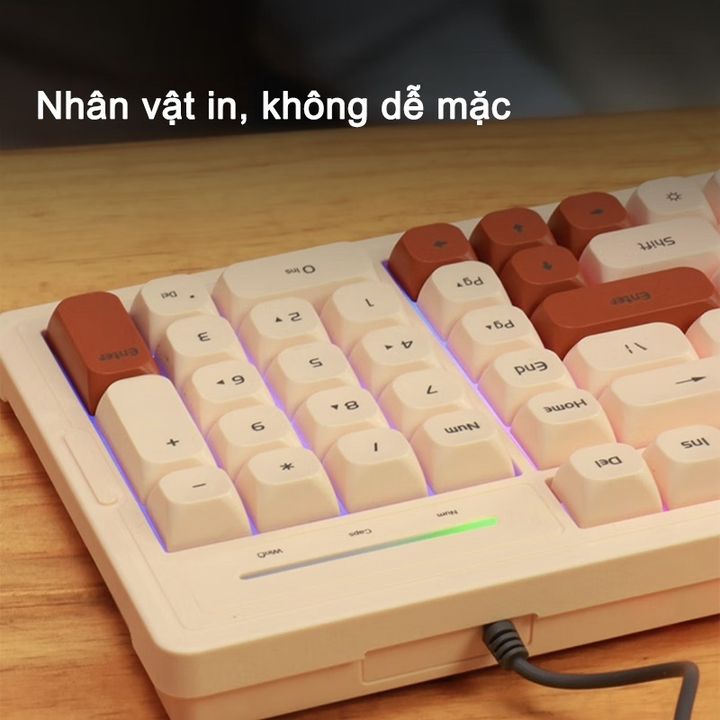 Bàn phím máy tính có dây Acer OKB030 chống ồn phối màu đôi có đèn LED