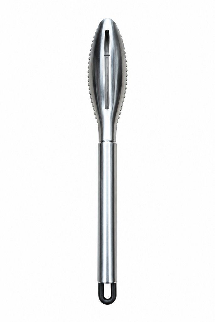 Dụng cụ đánh vảy cá chất liệu Inox bền bỉ dài 23 cm