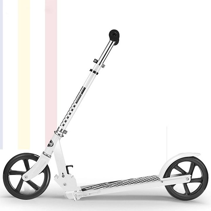 Xe trượt Scooter BBT Global Cỡ Lớn Chính Hãng Giá Rẻ
