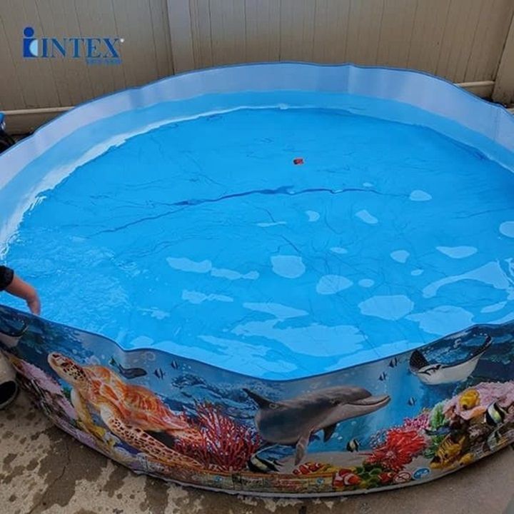 Bể bơi tròn nhựa cứng lắp dựng không cần bơm cho cả gia đình INTEX 58472