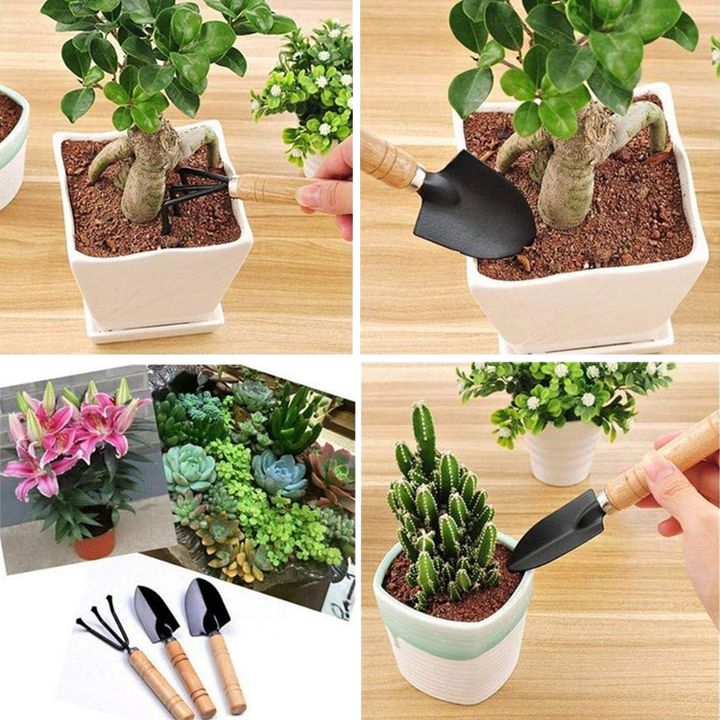 Bộ combo 3 món xẻng làm vườn