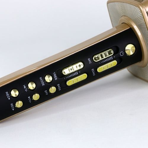 Mic hát Karaoke Bluetooth cầm tay kèm loa YS-92